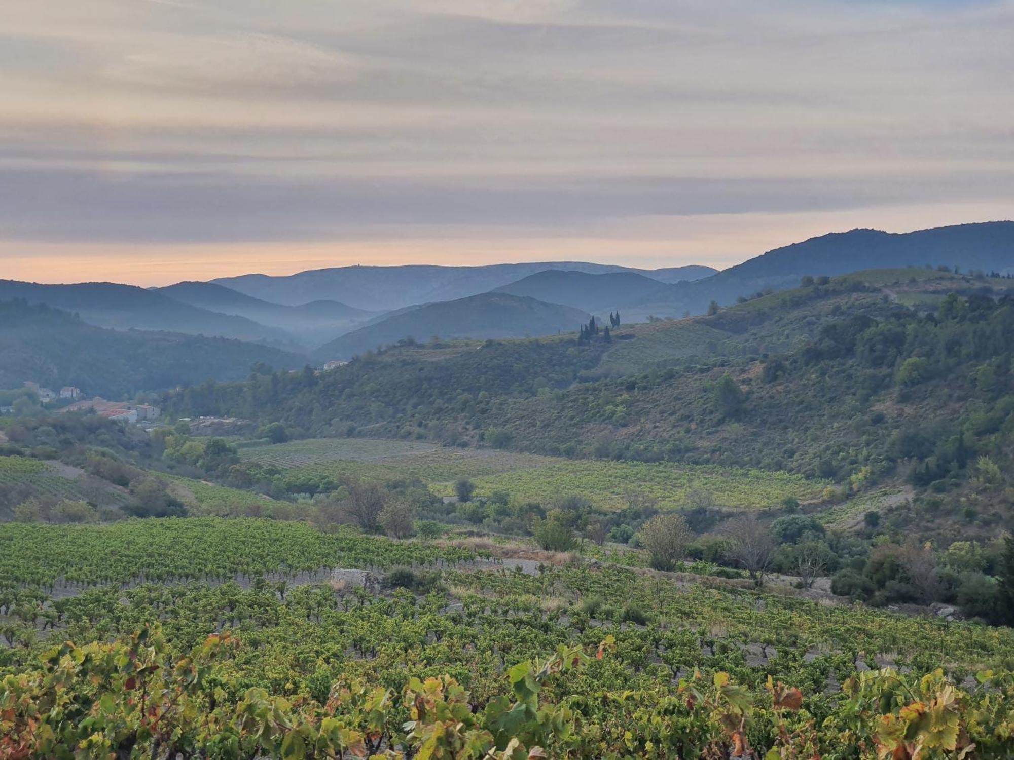 La Barbacane De Cascastel-Des-Corbieres Экстерьер фото
