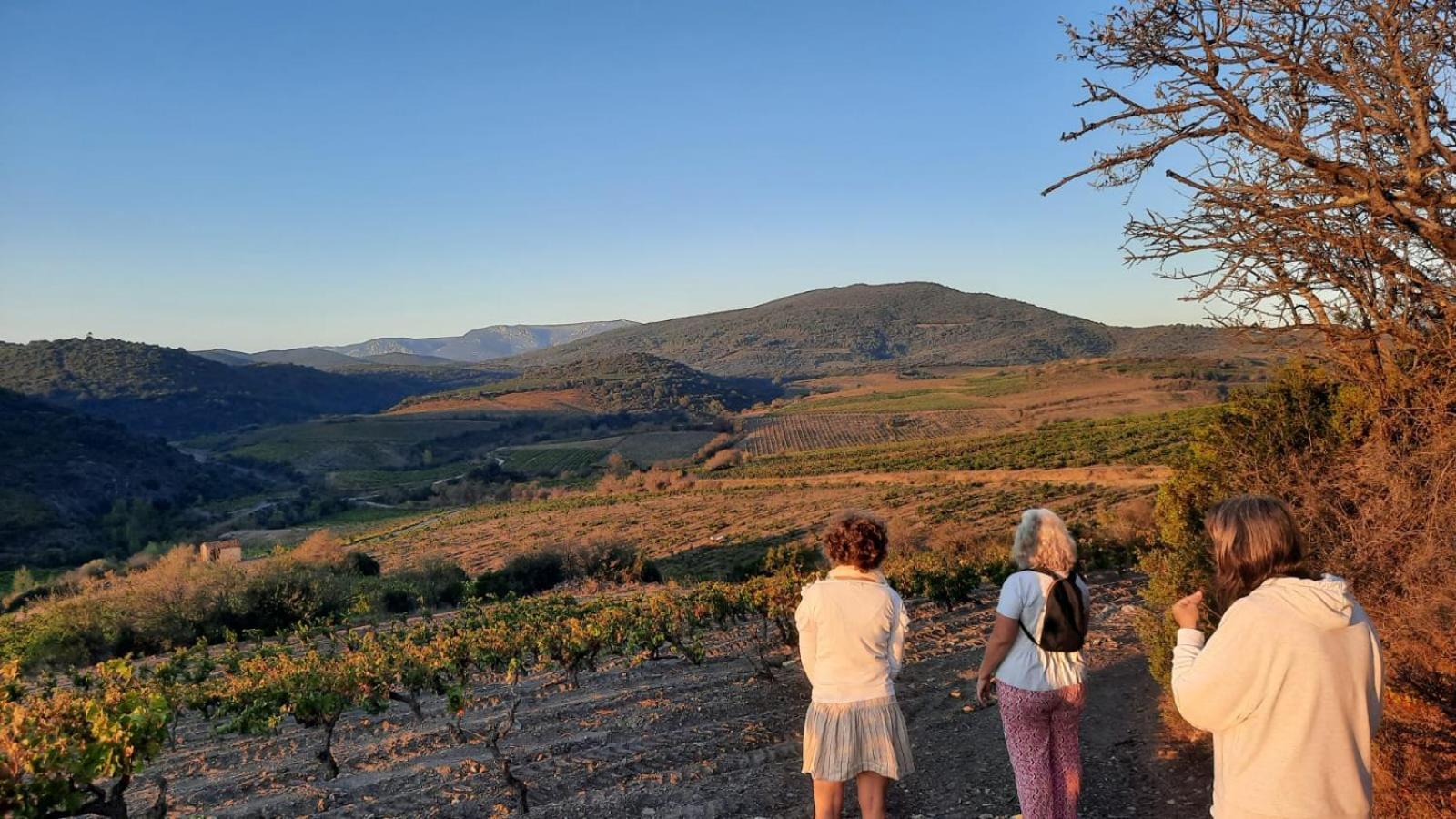 La Barbacane De Cascastel-Des-Corbieres Экстерьер фото